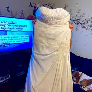 Size 16 David’s bridal